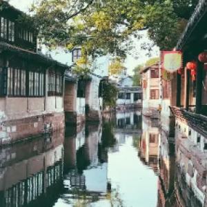 破碎的动物图形